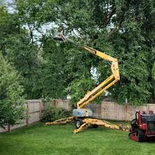 Best Seasonal Cleanup (Spring/Fall)  in Newark, TX