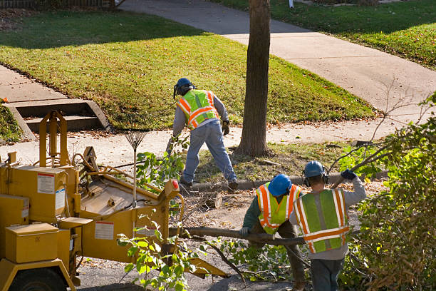 Best Pest Control for Lawns  in Newark, TX